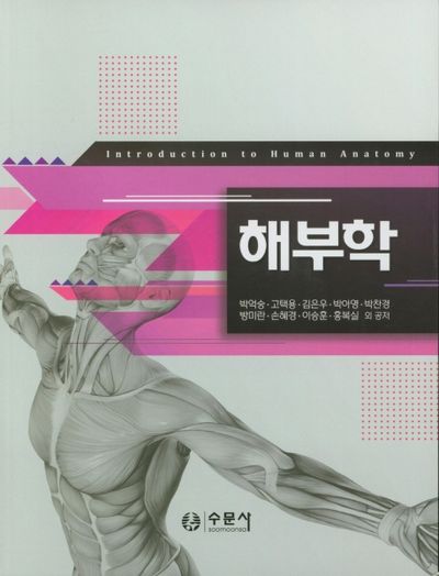 해부학 =