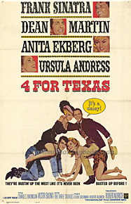  텍사스 카우보이     