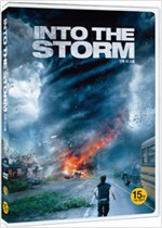인투 더 스톰    