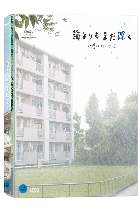 태풍이 지나가고    