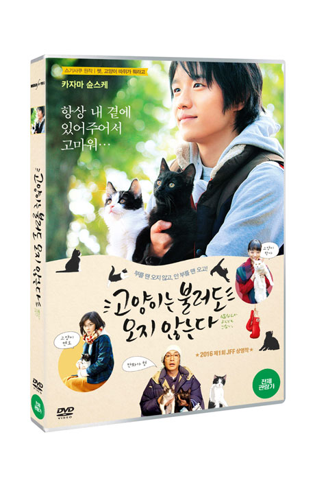 고양이는 불러도 오지 않는다 