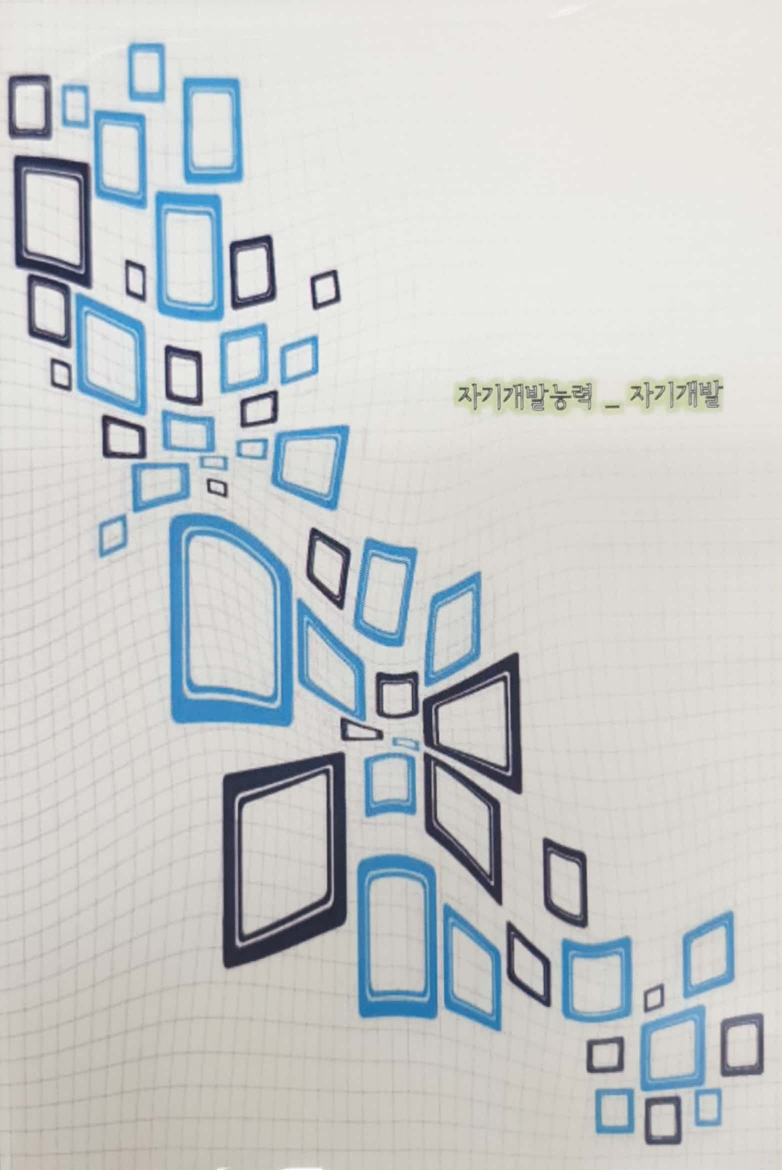 국가직무능력표준 :자기개발능력: 자기개발