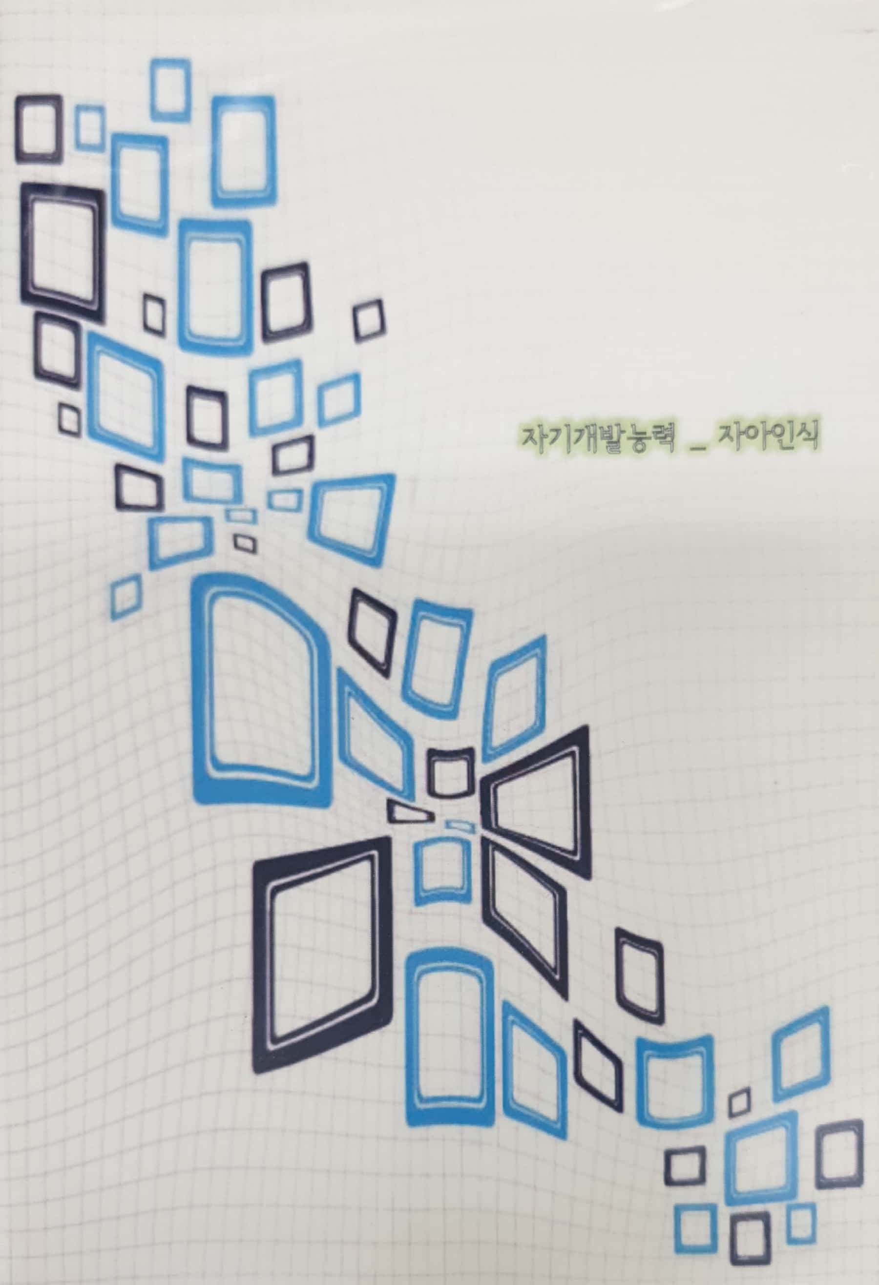 국가직무능력표준 :자기개발능력: 자아인식