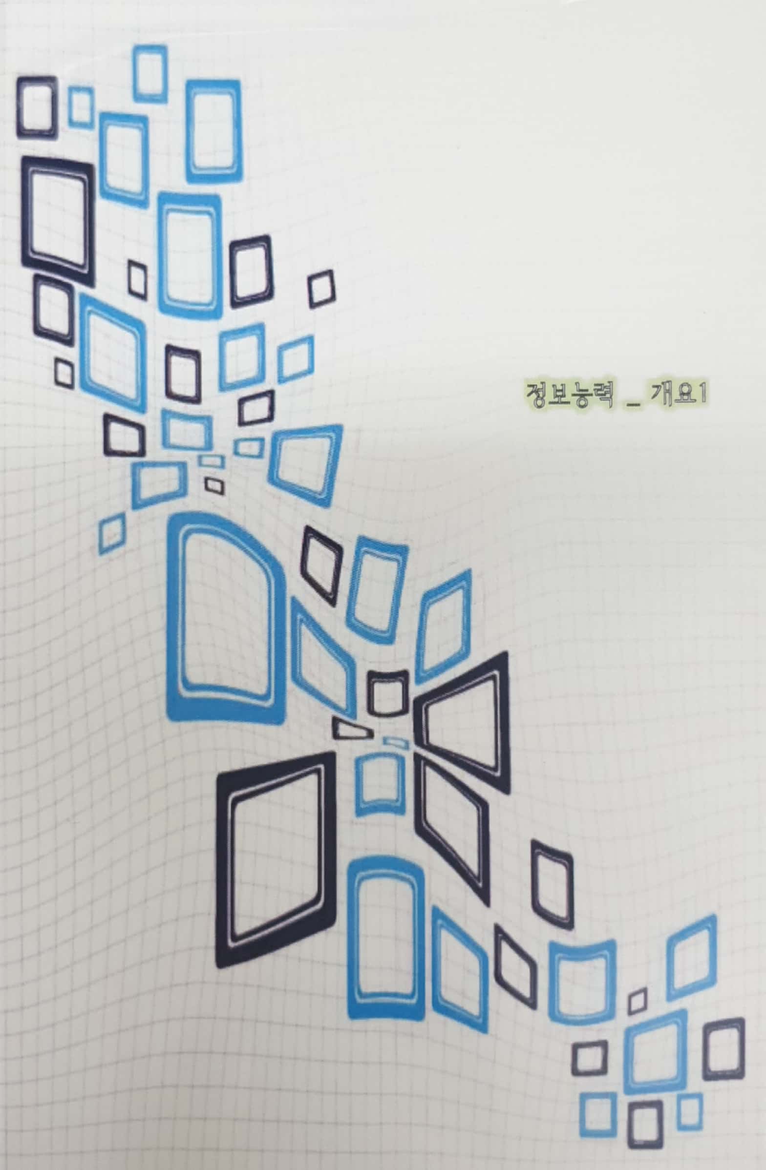 국가직무능력표준 :정보능력: 개요1